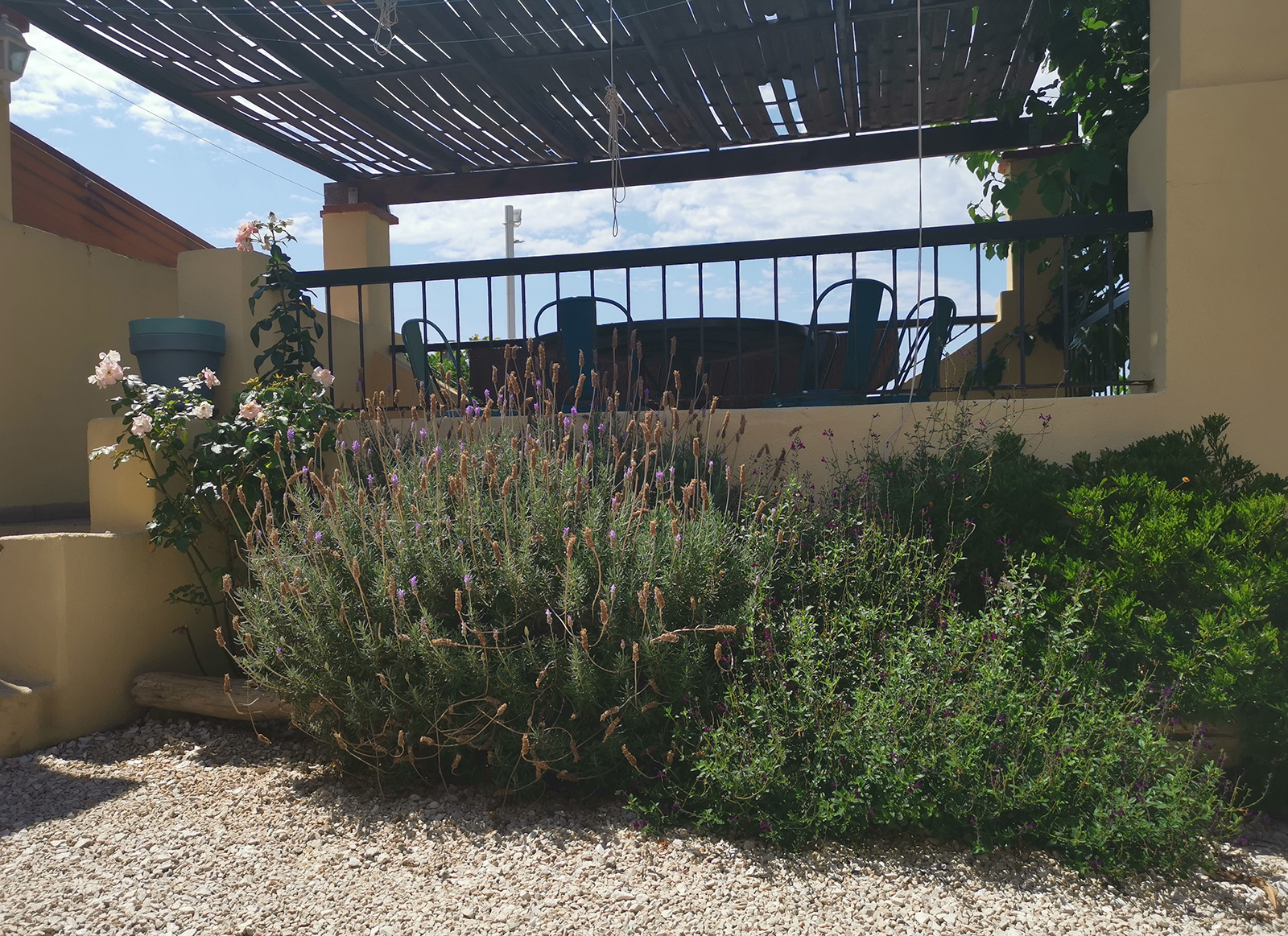 Terrasse et jardinet de la maison de pecheurs à louer sur le port de Carro (Martigues)